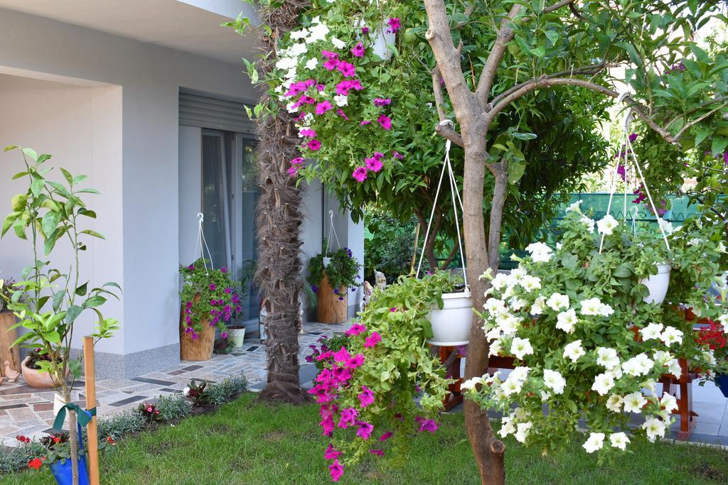 Apartments & Rooms Marinka Zadar Exterior foto